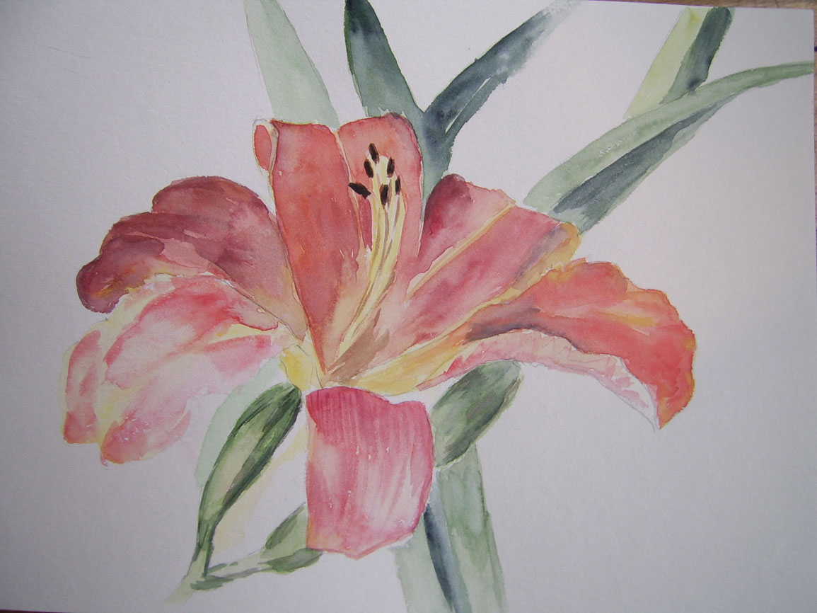 Lys, aquarelle, Véronique Viel