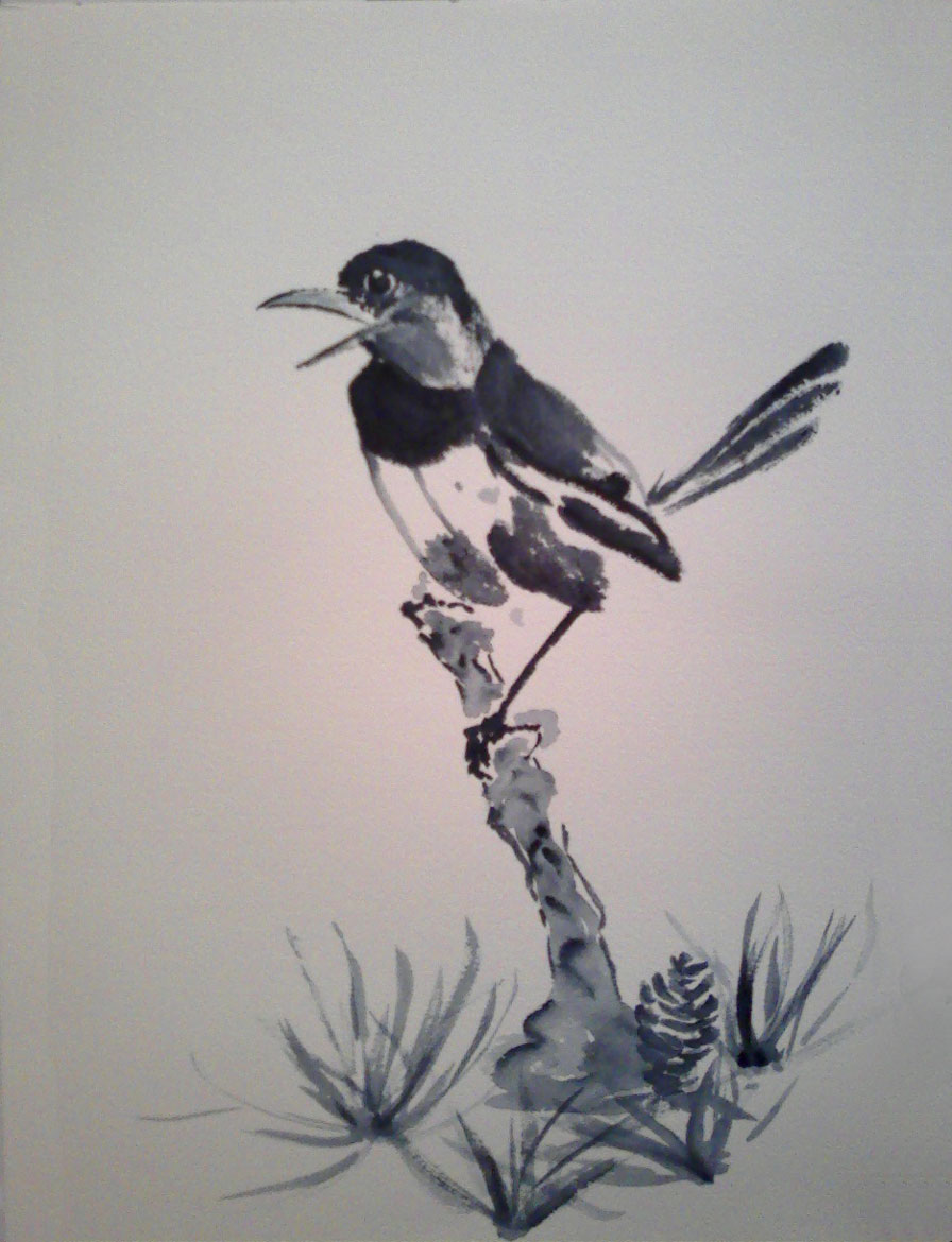 Corbeau, lavis, Lucija Devetak